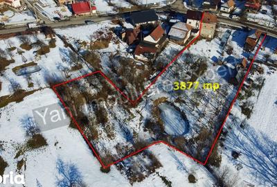 Casă cu 3 camere cu Teren 3877 Mp în Valea Danului - 15