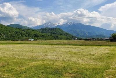 Teren Construcții intravilan de 1068 mp, în Râșnov