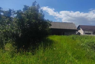 Teren de 10000 mp, în Măneuți - 4