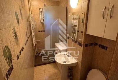 Apartament cu 3 camere zona Cetatii, Centrala proprie, Ac - 8