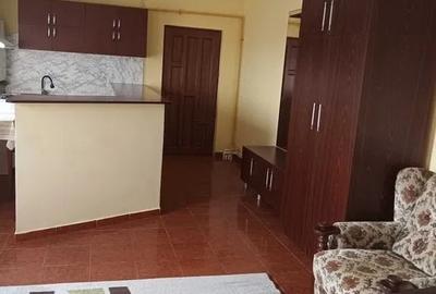 Apartament de închiriat cu 4 camere, zona Viile Noi - 1