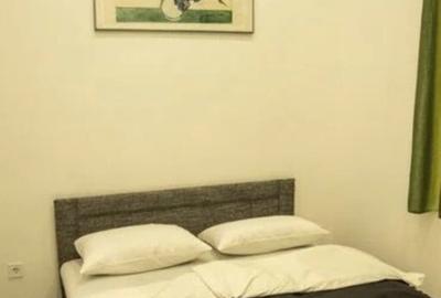 2 camere in zona Medicinei - 4