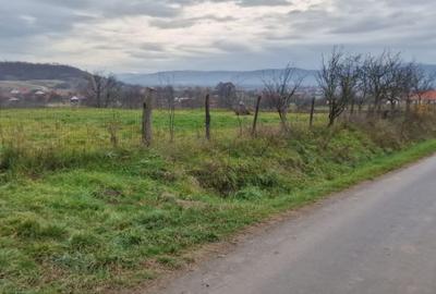 Teren Construcții intravilan de 2900 mp, în Lugașu de Sus - 1