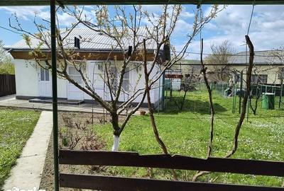 Casă cu 3 camere cu Teren 100 Mp în Central - 1