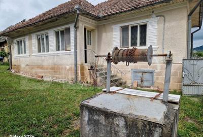 Casa la tara in Beudiu, comuna Nu?eni + teren arabil - 5