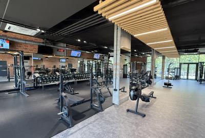 Studio modern in Loft Green Apartments Mogo?oaia comis - 10