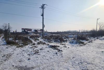 Teren Construcții intravilan de 12280 mp, în Corbeanca - 2