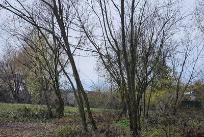 Spațiu comercial, în Aninoasa - 2