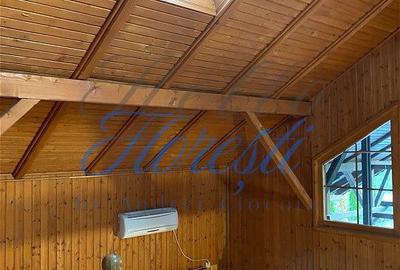 Casă cu 5 camere cu Teren 3000 Mp în Făget - 4