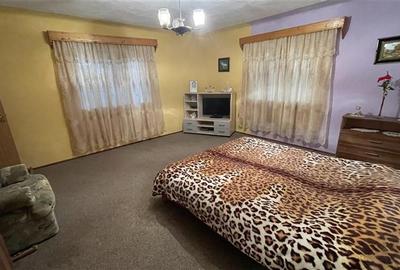 Casă individuală cu 4 camere cu Teren 2500 Mp în Ulieș - 23