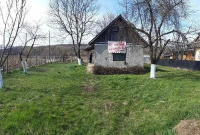 Teren de 3000 mp, în Dumbrăvița - 6