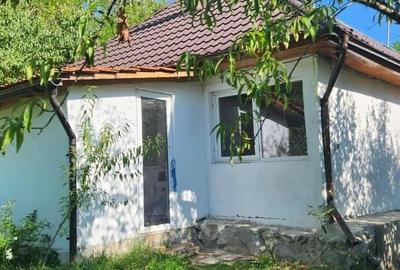 APUSENI! Casă modernizată cochetă, teren imens, pădure Țara Zarandului - 8
