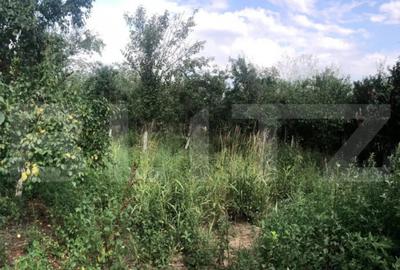 Casă cu 4 camere cu Teren 2906 Mp în Central - 2