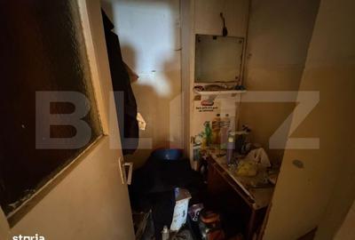 Apartament cu 3 camere decomandat în Gojeiești - 13