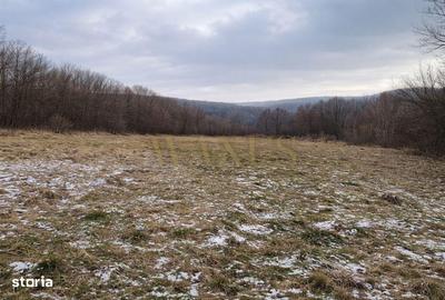 Spațiu comercial, în Făget - 2