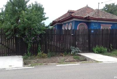 Teren de 1400 mp, în Surlari - 7