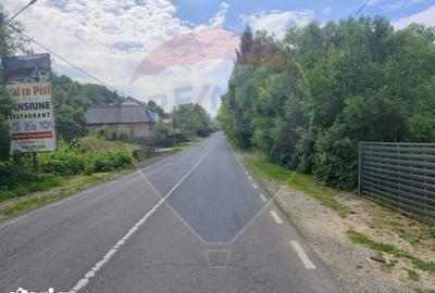 Casă cu 3 camere cu Teren 1268 Mp în Săpânța - 1