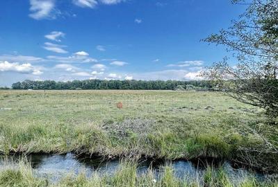 Teren Extravilan - 10