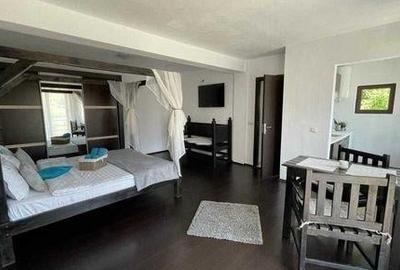 Aleasa Pensiune, pe 1.400 mp teren, in curcubeu montan, Bran - Poarta, Brasov - 36