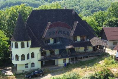 Casă cu 10 camere cu Teren 24700 Mp în Berchezoaia - 6