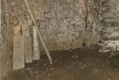 Vanzare Casa individuala+ Teren Gara de Nord-Golescu - 7