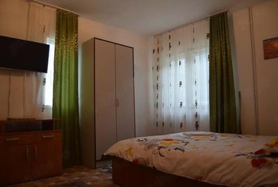 Teren de 1000 mp, în Clăbucet - 9
