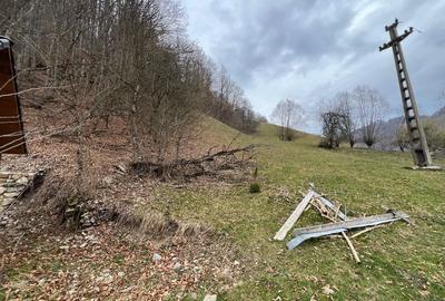 Teren de 12800 mp, în Remeți - 1