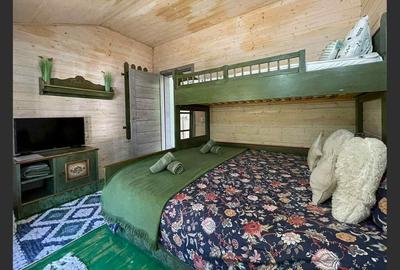 Casa de vacanta superba in Crivaia - 16