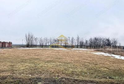 Teren de 900 mp, în Săucești - 2