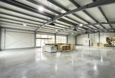 Spațiu comercial, de 296 mp, în Carei - 3