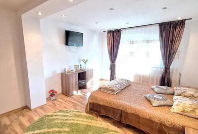Apartament cu 2 camere decomandat în Big-Bascov - 13