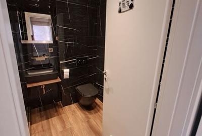 Chitila complex nou apartament 2 camere de inchiriat - 28