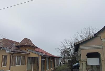 Casă cu 4 camere cu Teren 2800 Mp în Grădinari - 2