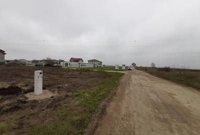 Teren Construcții intravilan de 623 mp, în Dumbrăvița - 1