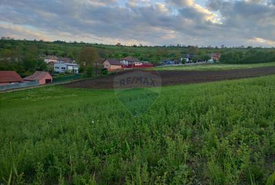 Teren de 2983 mp, în Central - 6