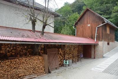 Casă cu 5 camere în Câmpeni - 5