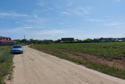 Teren Construcții intravilan de 8500 mp, în Snagov - 5