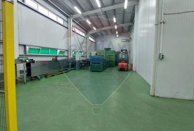 Spațiu industrial, de 880 mp, în Muntenii de Jos - 40