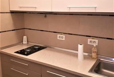 LANGA PTA DOROBANTI, VILA 1998, 650 MP,  GARAJ DUBLU! - 7