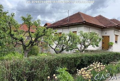 Casa 4 Camere + Teren (6500mp) si Anexe, Turcinesti - 5