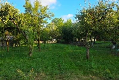 Teren intravilan de 2500 mp, în Breaza de Jos - 7