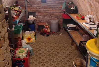 Vand Casa in Comuna Bor?, Sat Bor? nr.330, Jude?ul Bijor - 1