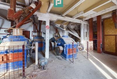 Moară de vânzare în comuna Periam, județ Timiș - 5