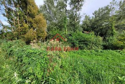 Teren intravilan in Telega--17.131 mp--180.000e - 8