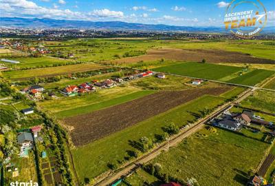 Teren de 31605 mp, în Ilieni - 1