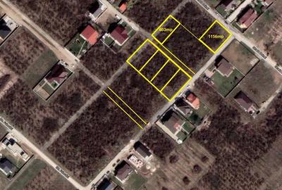 Mogosoaia, adiacent strazii Doinei, teren 603mp cu deschidere 20m, utilitati - 2