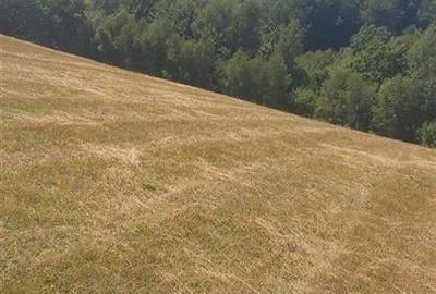 RECO, Teren intravilan, zona Sinteu, 2 Km de Huta Slavia - 5