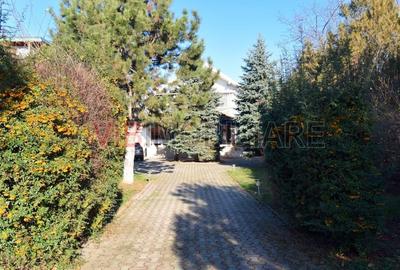 Casă cu 5 camere cu Piscina în Dămăroaia - 7