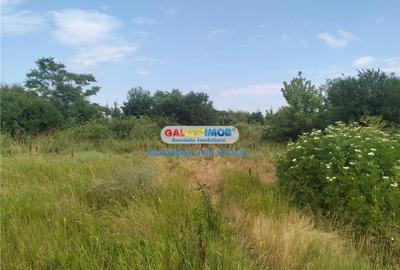 Teren 1450mp 14m deschidere ideal investitie la granita cu sector 4 Teren 1450mp 14m deschidere ideal investitie la granita cu sector 4 - 3