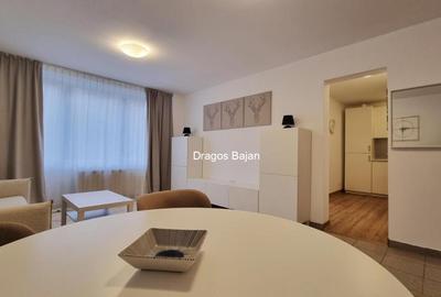 Apartament cu 2 camere, mobilat în Sala Palatului - 2